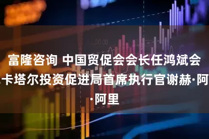 富隆咨询 中国贸促会会长任鸿斌会见卡塔尔投资促进局首席执行官谢赫·阿里