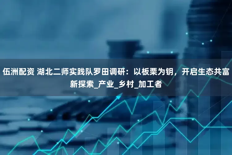 伍洲配资 湖北二师实践队罗田调研：以板栗为钥，开启生态共富新探索_产业_乡村_加工者
