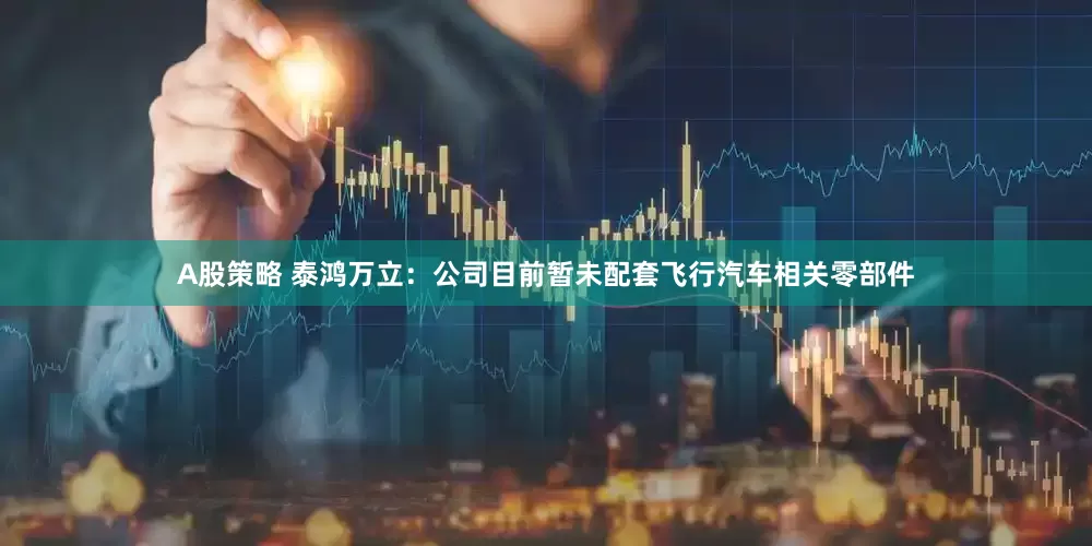 A股策略 泰鸿万立：公司目前暂未配套飞行汽车相关零部件