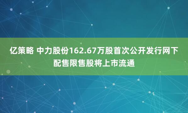 亿策略 中力股份162.67万股首次公开发行网下配售限售股将上市流通